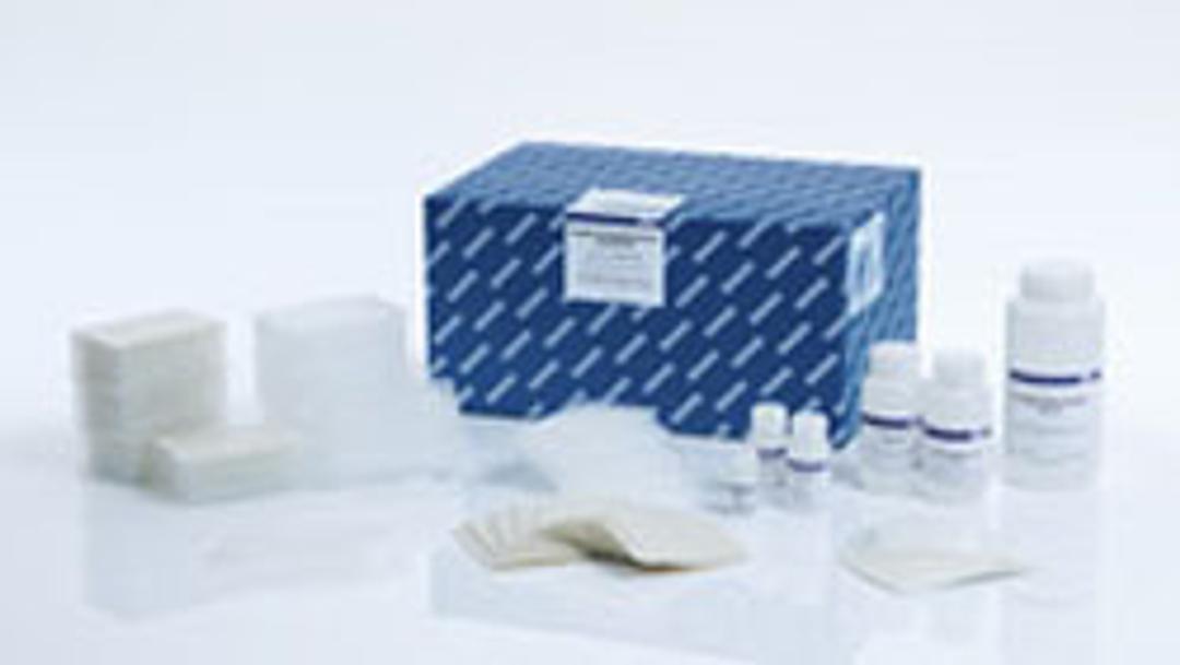 MagAttract PowerMicrobiome DNA/RNA KF - QIAGEN