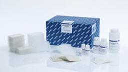 MagAttract PowerMicrobiome DNA/RNA KF - QIAGEN