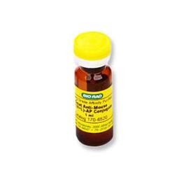 Goat Anti-Mouse IgG-AP Conjugate - Bio-Rad - Life Sciences