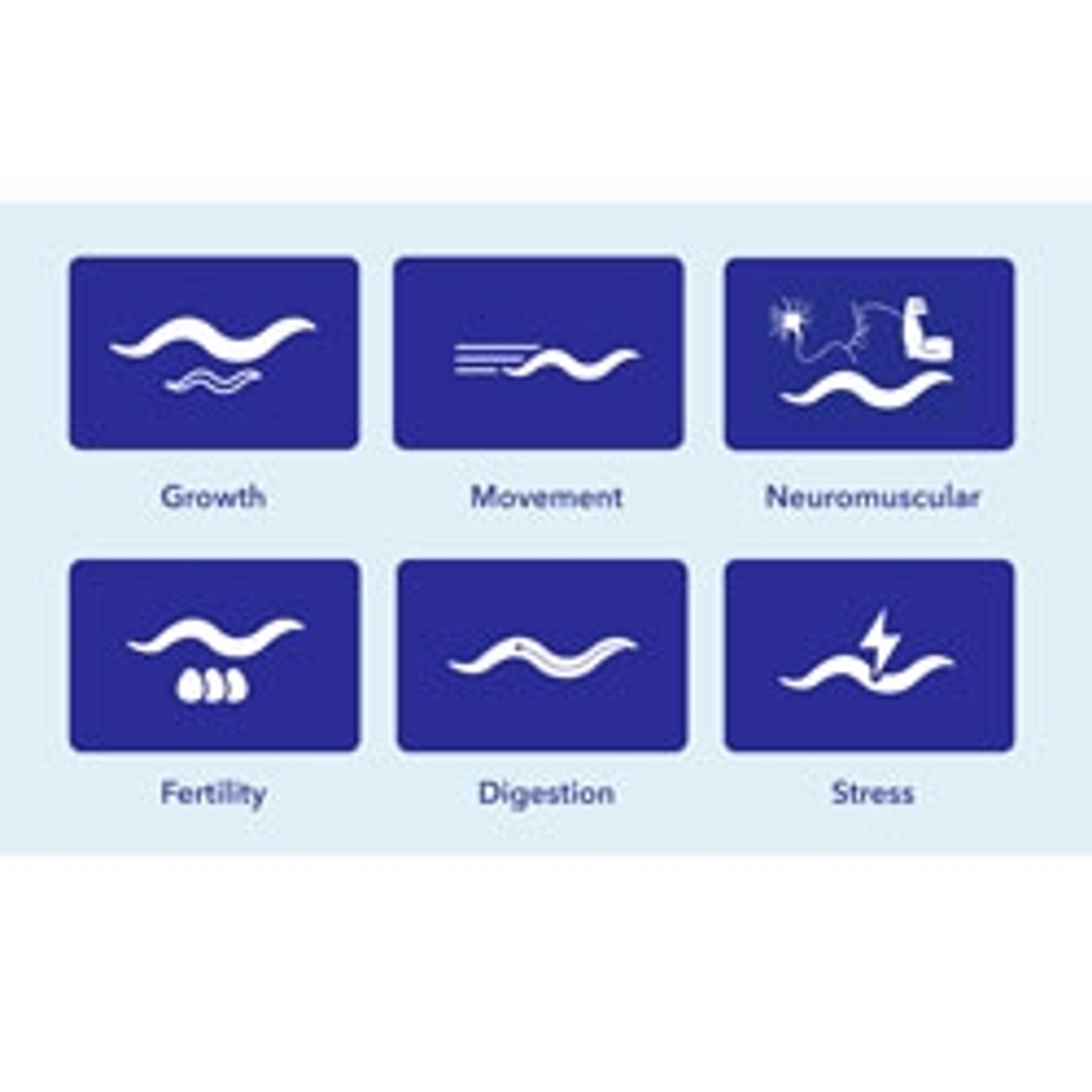Transgenic and Knockout Analysis - InVivo Biosystems - Life Sciences