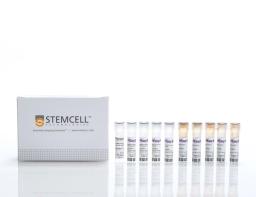 EasySep™ Human Myeloid DC Enrichment Kit - STEMCELL Technologies Inc. - Life Sciences