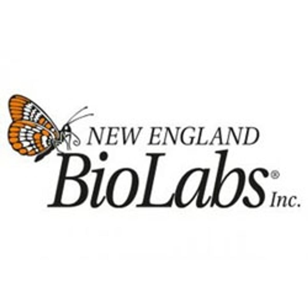 Streptavidin Magnetic Beads - New England Biolabs Inc. - Life Sciences
