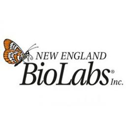 Streptavidin Magnetic Beads - New England Biolabs Inc. - Life Sciences