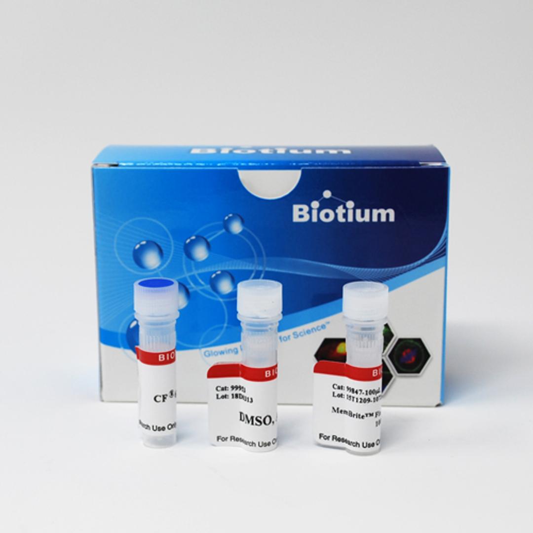 MemBrite® Fix Cell Surface Staining Kits - Biotium - Life Sciences