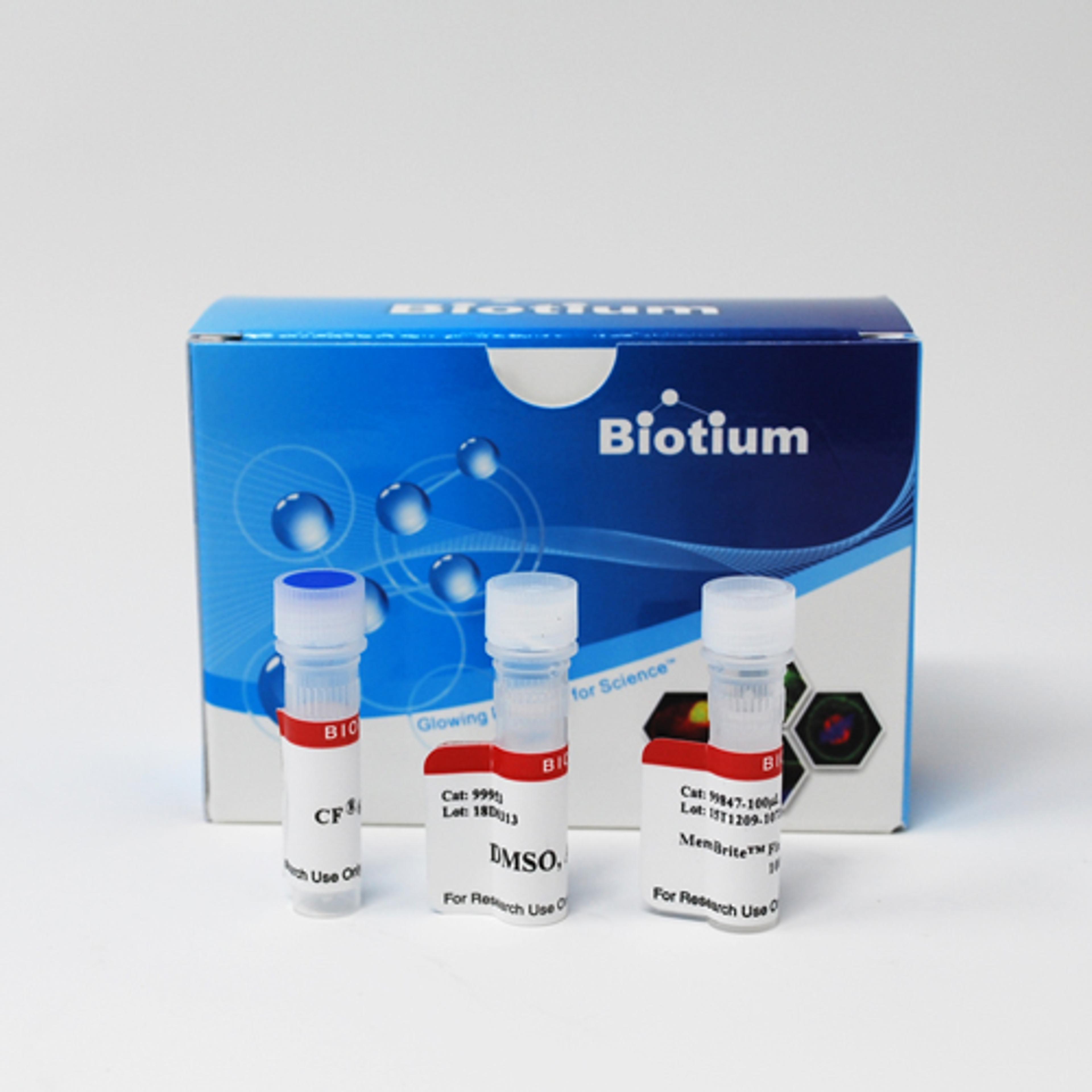 MemBrite® Fix Cell Surface Staining Kits - Biotium - Life Sciences