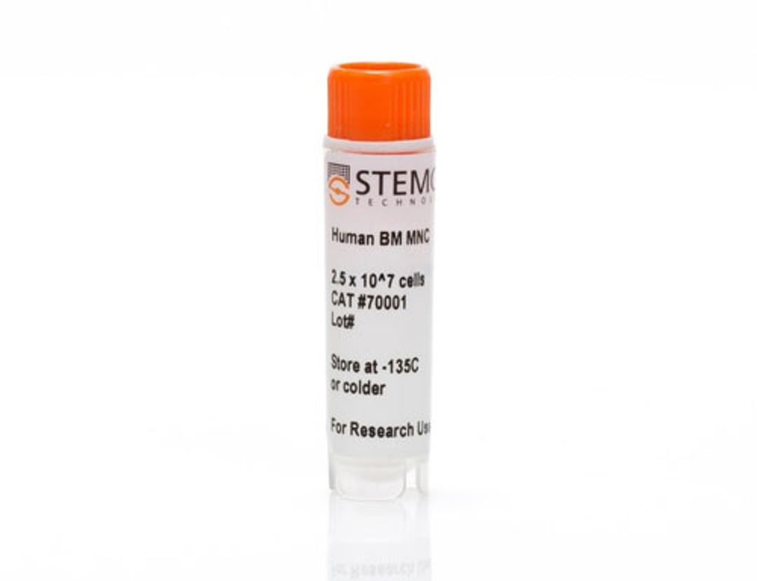 Human Bone Marrow Mononuclear Cells, Frozen - STEMCELL Technologies Inc. - Life Sciences