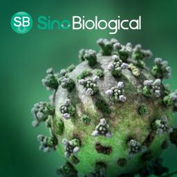 Comprehensive Toolkits for SARS-CoV-2 Variants Research - Sino Biological - Life Sciences