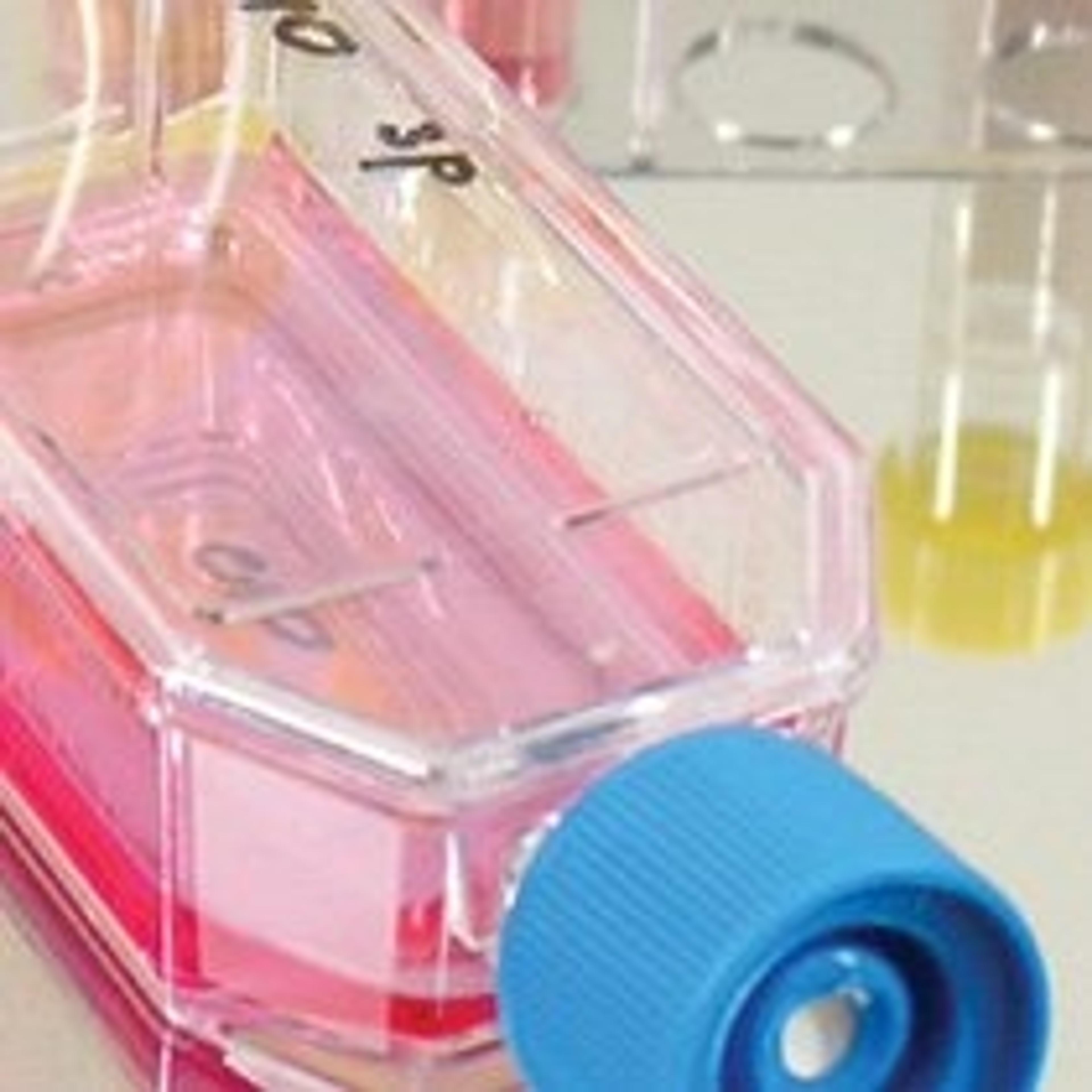 Cell & Tissue Culture Products - Alpha Laboratories Ltd - Life Sciences