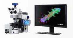 ZEISS Axio Imager 2 for Life Sciences - ZEISS Research Microscopy Solutions - Life Sciences