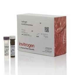 Invitrogen™ Apolipoprotein 5-plex Human ProcartaPlex™ Panel - Thermo Fisher Scientific - Clinical Diagnostics