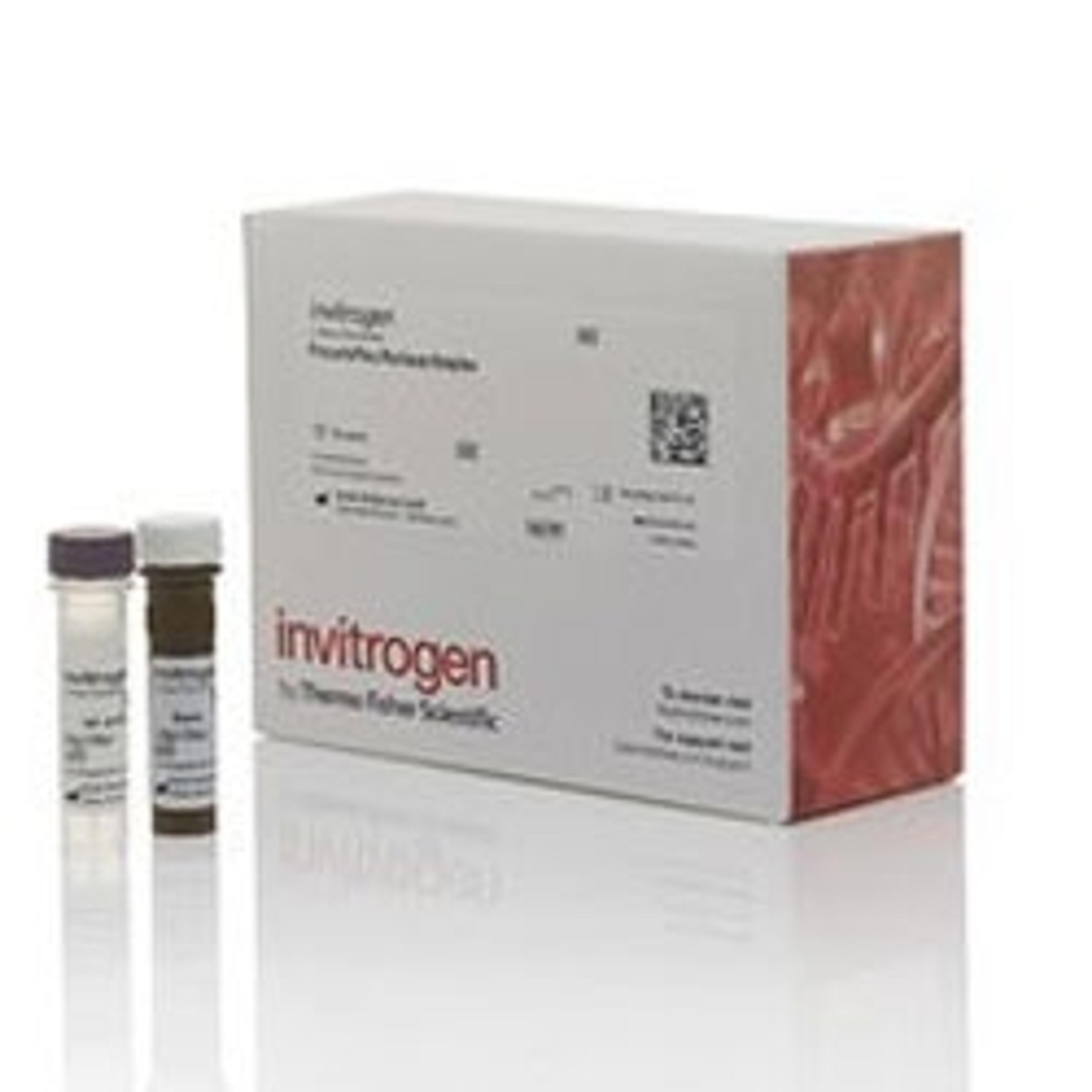 Invitrogen™ Apolipoprotein 5-plex Human ProcartaPlex™ Panel - Thermo Fisher Scientific - Clinical Diagnostics