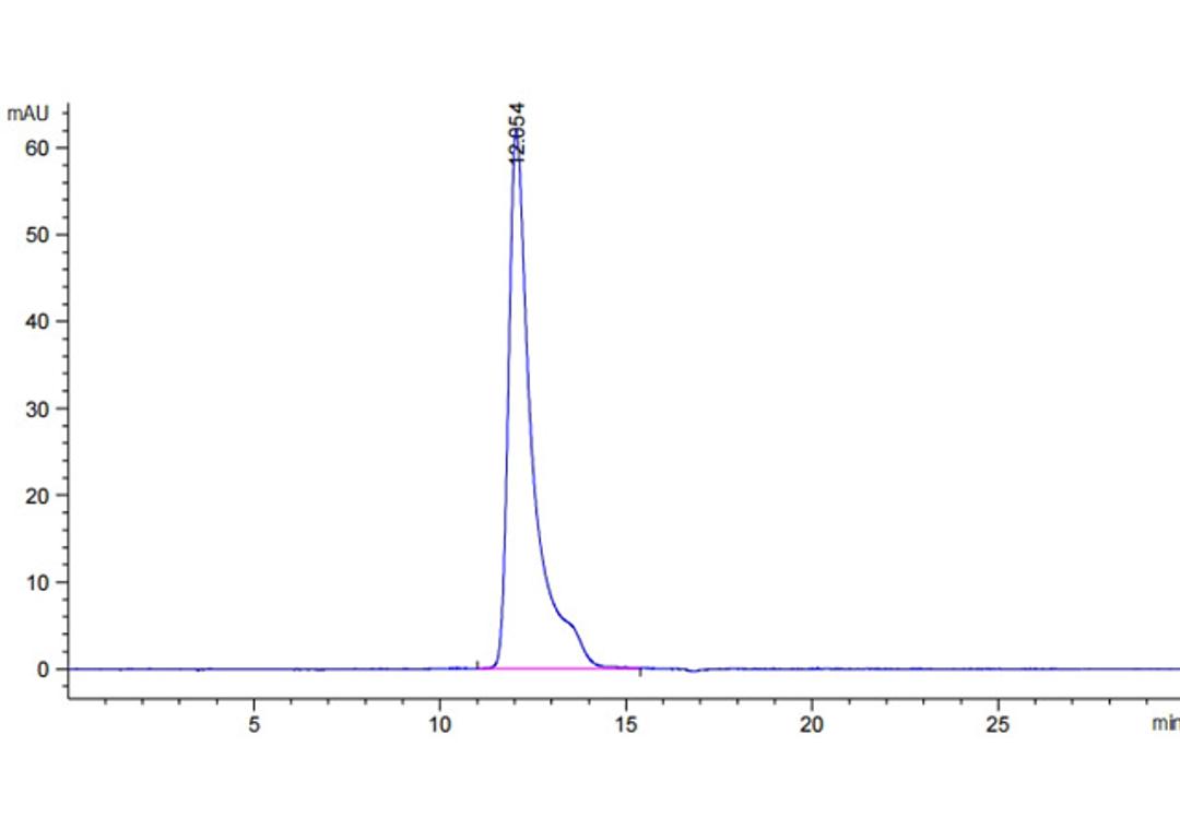 Human Anti-HLA-A*11:01 Recombinant Antibody (clone 2E3) - Creative Biolabs - Life Sciences