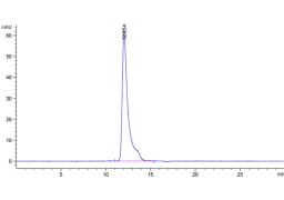 Human Anti-HLA-A*11:01 Recombinant Antibody (clone 2E3) - Creative Biolabs - Life Sciences