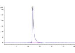 Human Anti-HLA-A*11:01 Recombinant Antibody (clone 2E3) - Creative Biolabs - Life Sciences