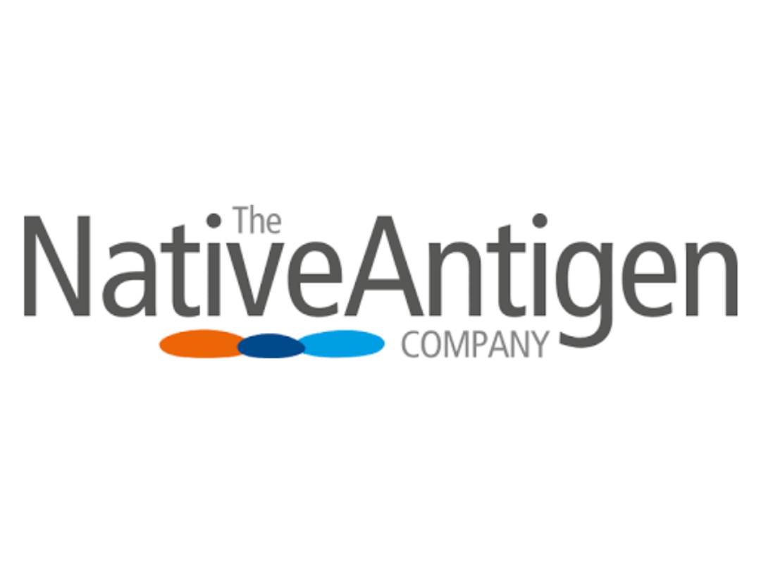 Rubella virus-like particles - The Native Antigen Company - Life Sciences