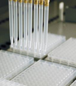 Freedom EVO® for chromatography in tips - Tecan - Lab Automation