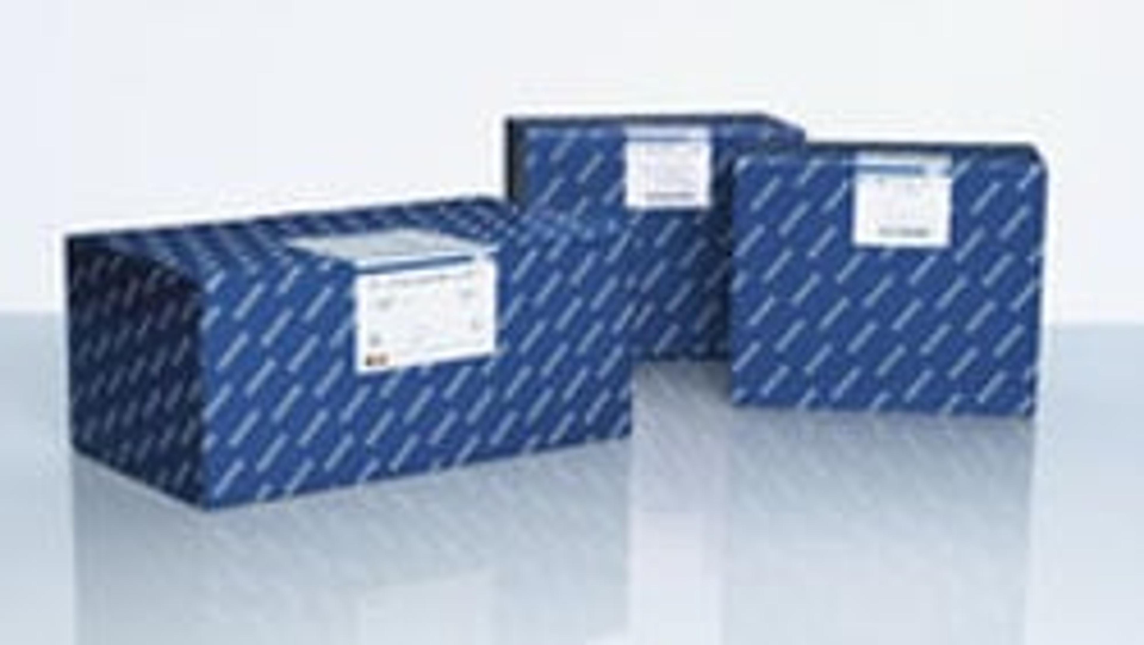 QIAamp Fast DNA Stool Mini Kit (50) - QIAGEN