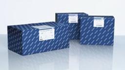 QIAamp Fast DNA Stool Mini Kit (50) - QIAGEN