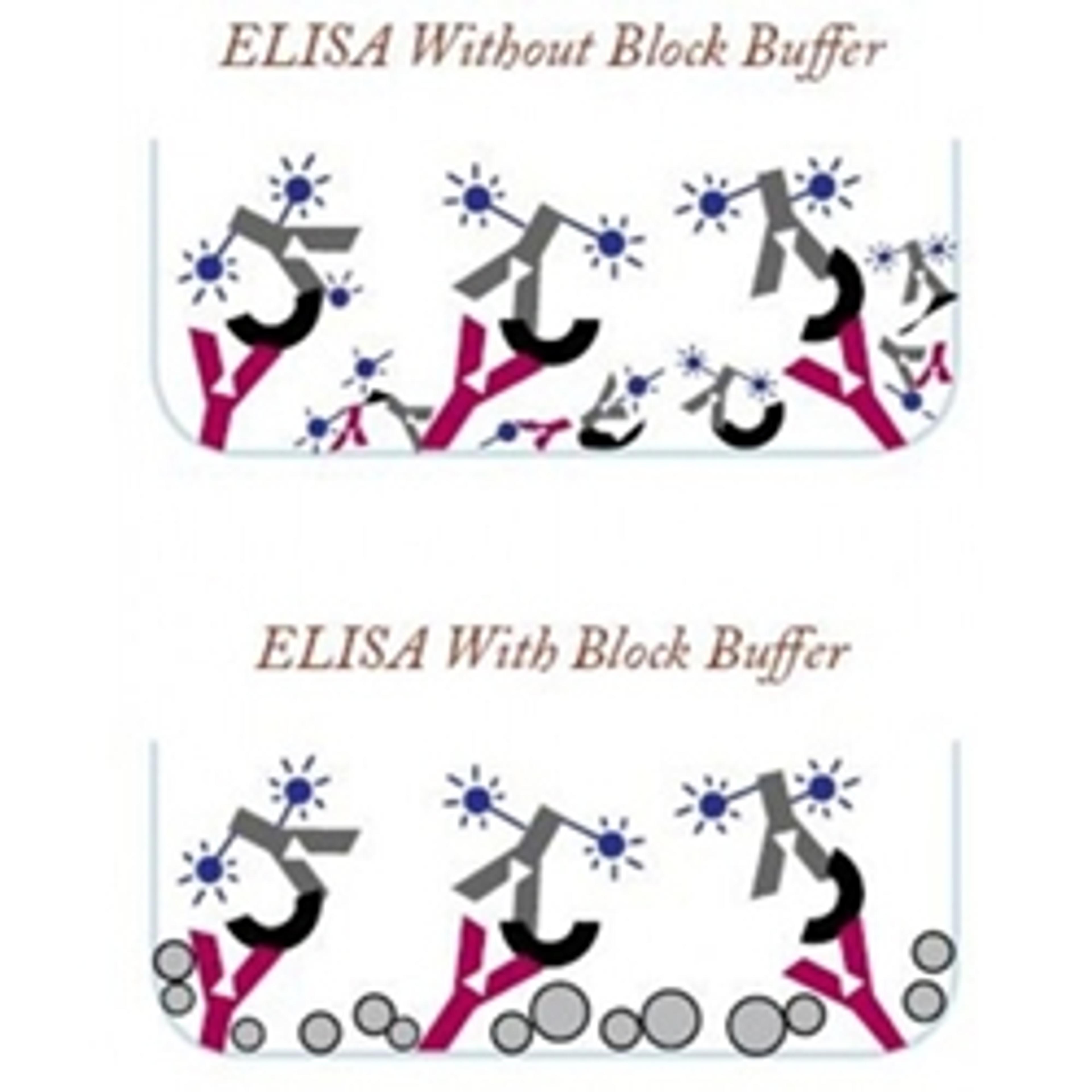 Monster Block ELISA Blocking Buffer - Immunochemistry Technologies LLC - Life Sciences