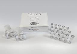 T7 mScript™ Standard mRNA Production System V2 - CELLSCRIPT™ - Life Sciences