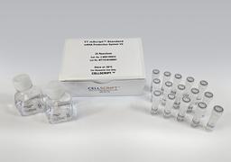 T7 mScript™ Standard mRNA Production System V2 - CELLSCRIPT™ - Life Sciences