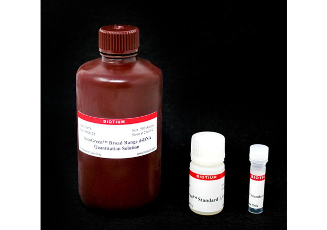 AccuGreen™ Broad Range dsDNA Quantitation Kit - Biotium - Life Sciences