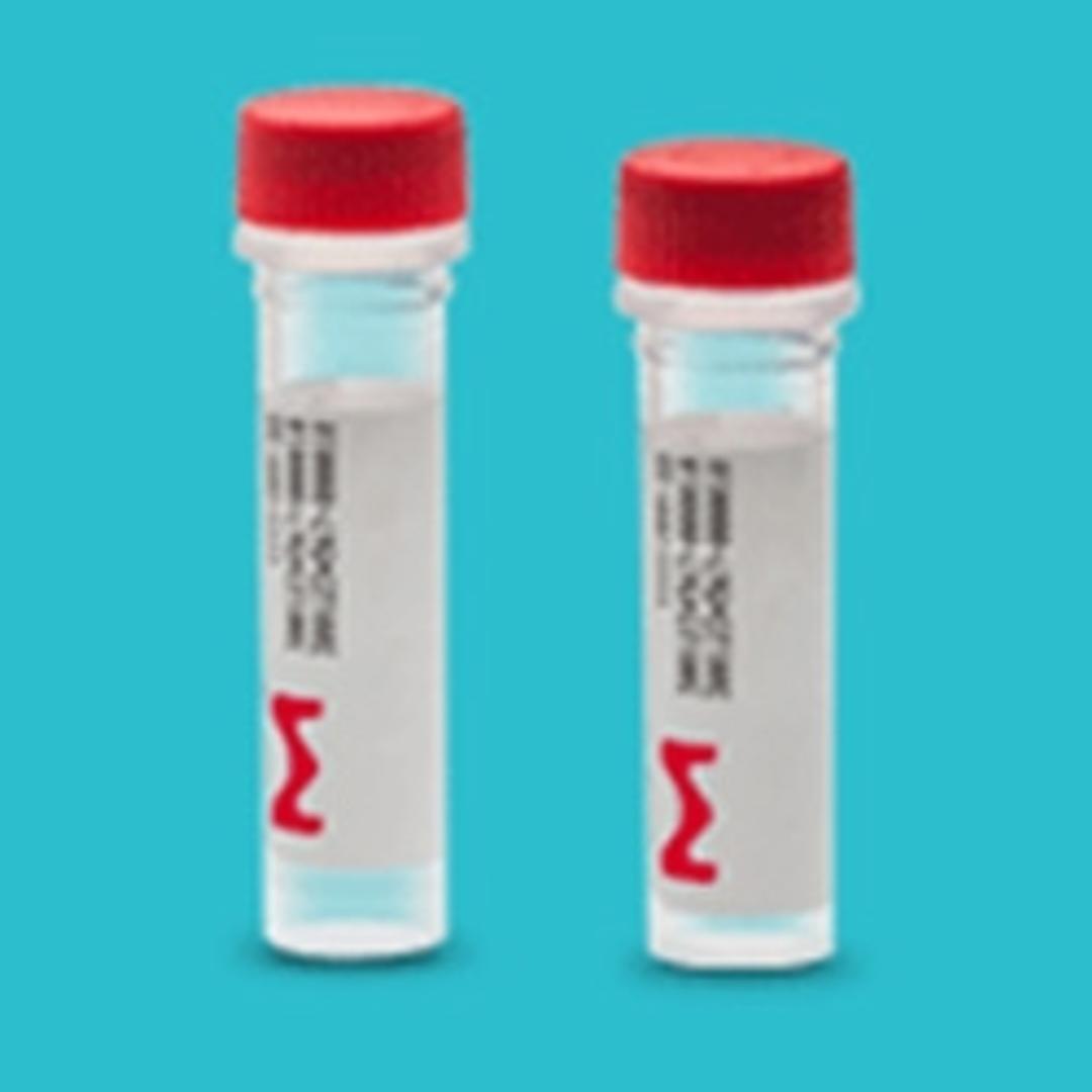 Custom & Predesigned RNA, siRNA, esiRNA & miRNA - Merck - Life Sciences