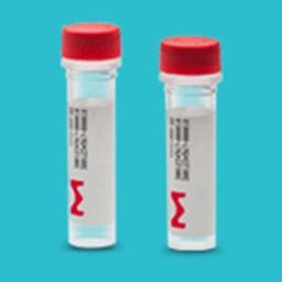 Custom & Predesigned RNA, siRNA, esiRNA & miRNA - Merck - Life Sciences