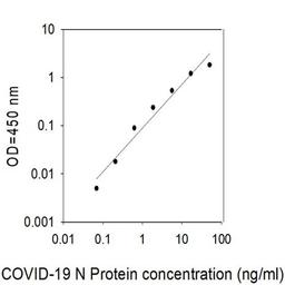 COVID-19 N-Protein ELISA - RayBiotech Inc. - Life Sciences