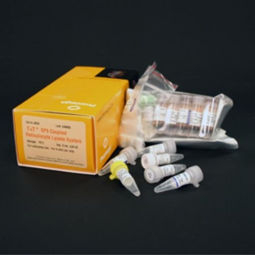 TNT® Coupled Reticulocyte Lysate Systems (cell free protein expression) - Promega Corp. - Life Sciences