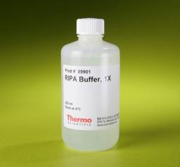 Thermo Scientific™ RIPA Lysis and Extraction Buffer - Thermo Fisher Scientific - Life Sciences