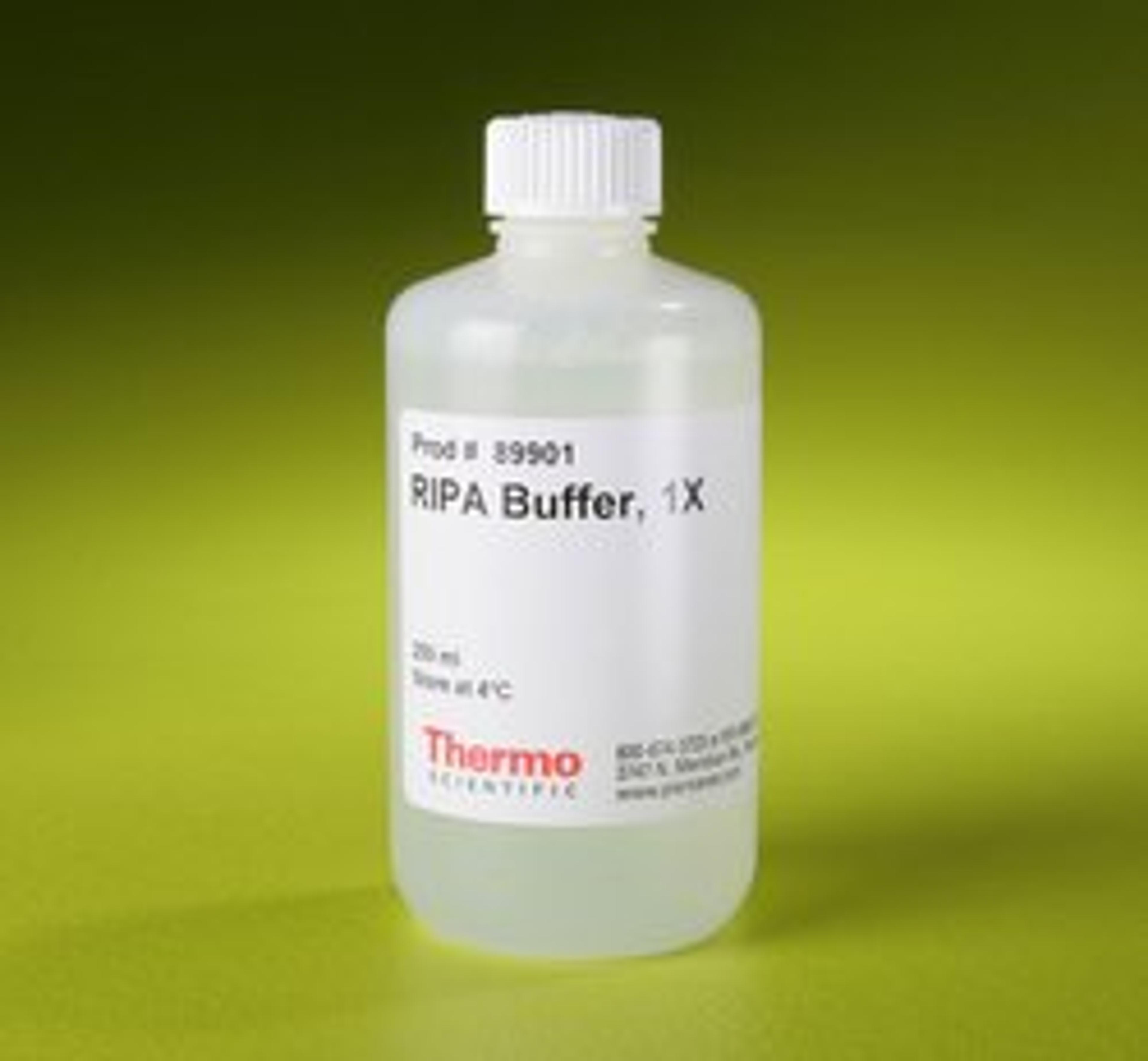 Thermo Scientific™ RIPA Lysis and Extraction Buffer - Thermo Fisher Scientific - Life Sciences