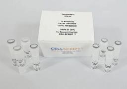 RepliAMP™ RCA Kit - CELLSCRIPT™ - Life Sciences