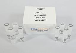 RepliAMP™ RCA Kit - CELLSCRIPT™ - Life Sciences