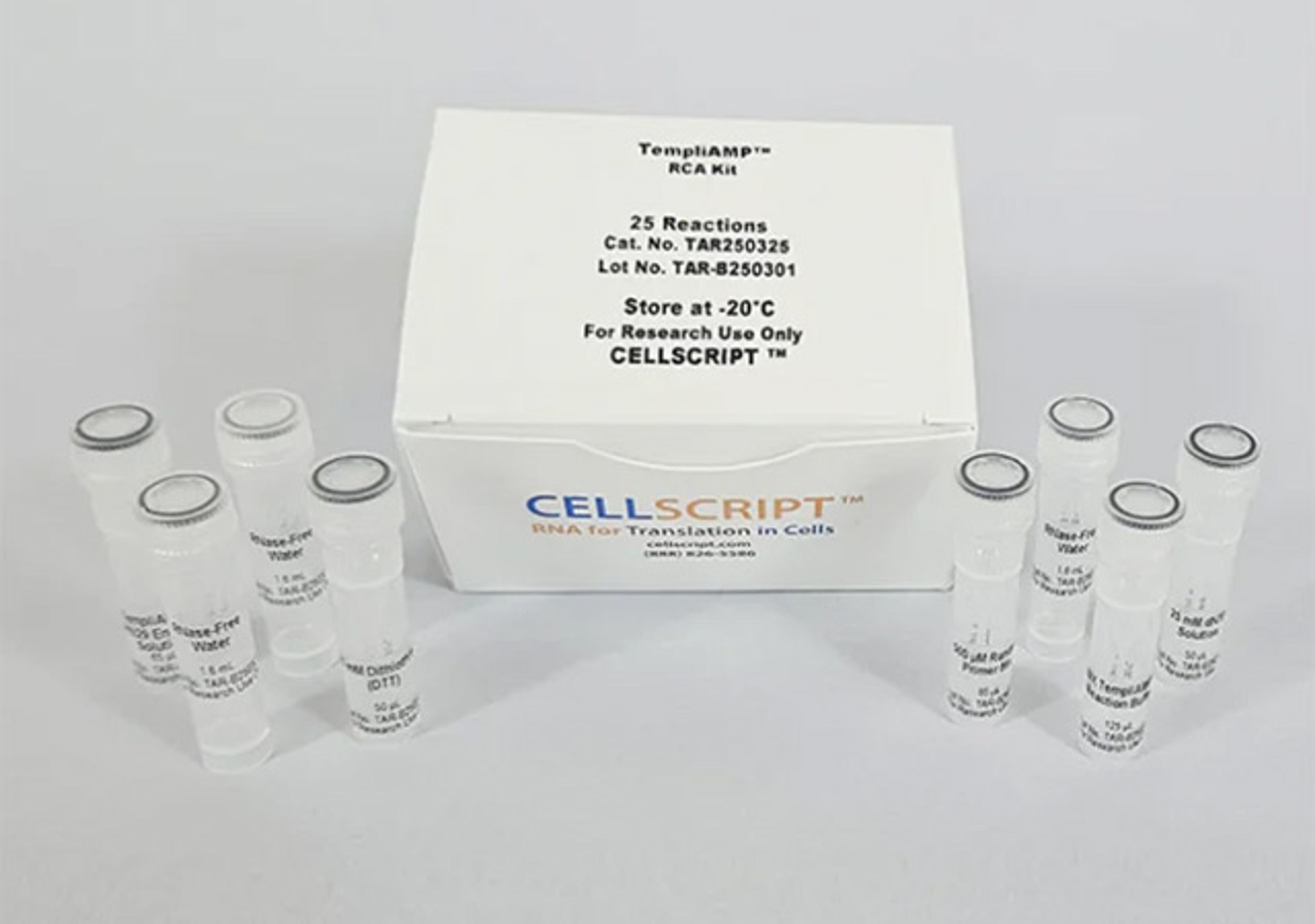 RepliAMP™ RCA Kit - CELLSCRIPT™ - Life Sciences