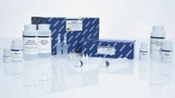 QIAGEN Plasmid Plus Mega Kit (5) - QIAGEN