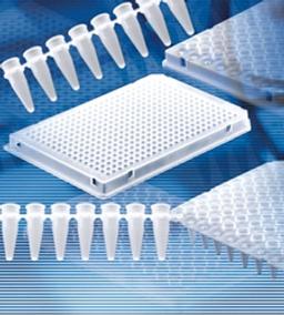 BRAND PCR Tubes, Strips, and Plates - BRANDTECH® Scientific, Inc. - Life Sciences