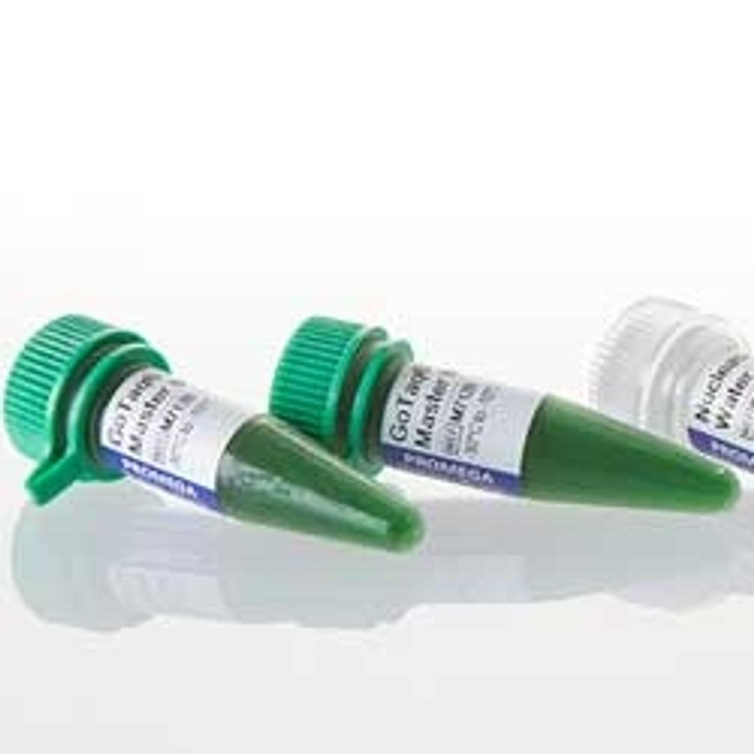 GoTaq® Green - Promega Corp. - Life Sciences