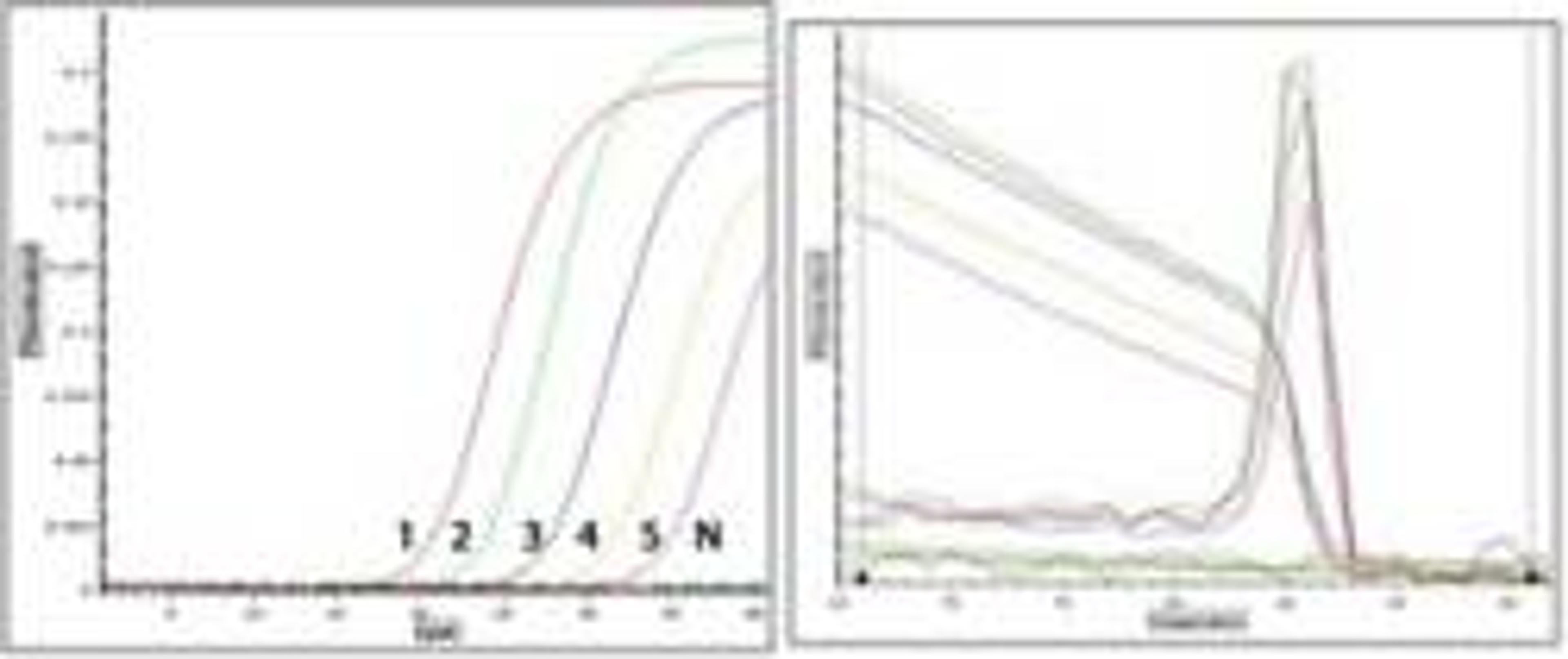 Predesigned and validated Real-Time PCR primers for measuring siRNA knockdown results - Bioneer - Life Sciences