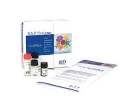 Mouse TNF-alpha/TNFSF1A DuoSet ELISA - Bio-Techne - Life Sciences