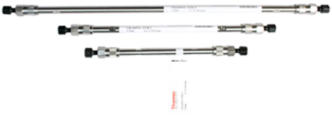 Thermo Scientific™ GlycanPac™ AXH-1 HPLC Columns - Thermo Fisher Scientific - Separations