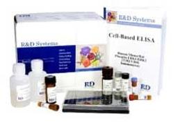 Cell-based ELISA - Bio-Techne - Life Sciences