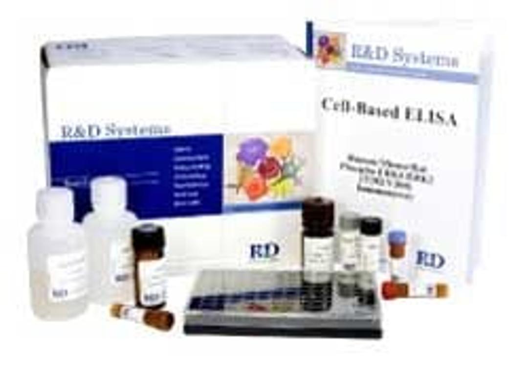 Cell-based ELISA - Bio-Techne - Life Sciences