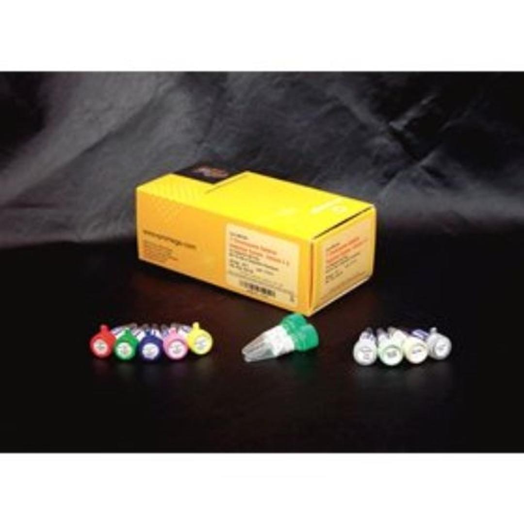 Y Chromosome Deletion Detection System, Version 2.0 - Promega Corp. - Life Sciences