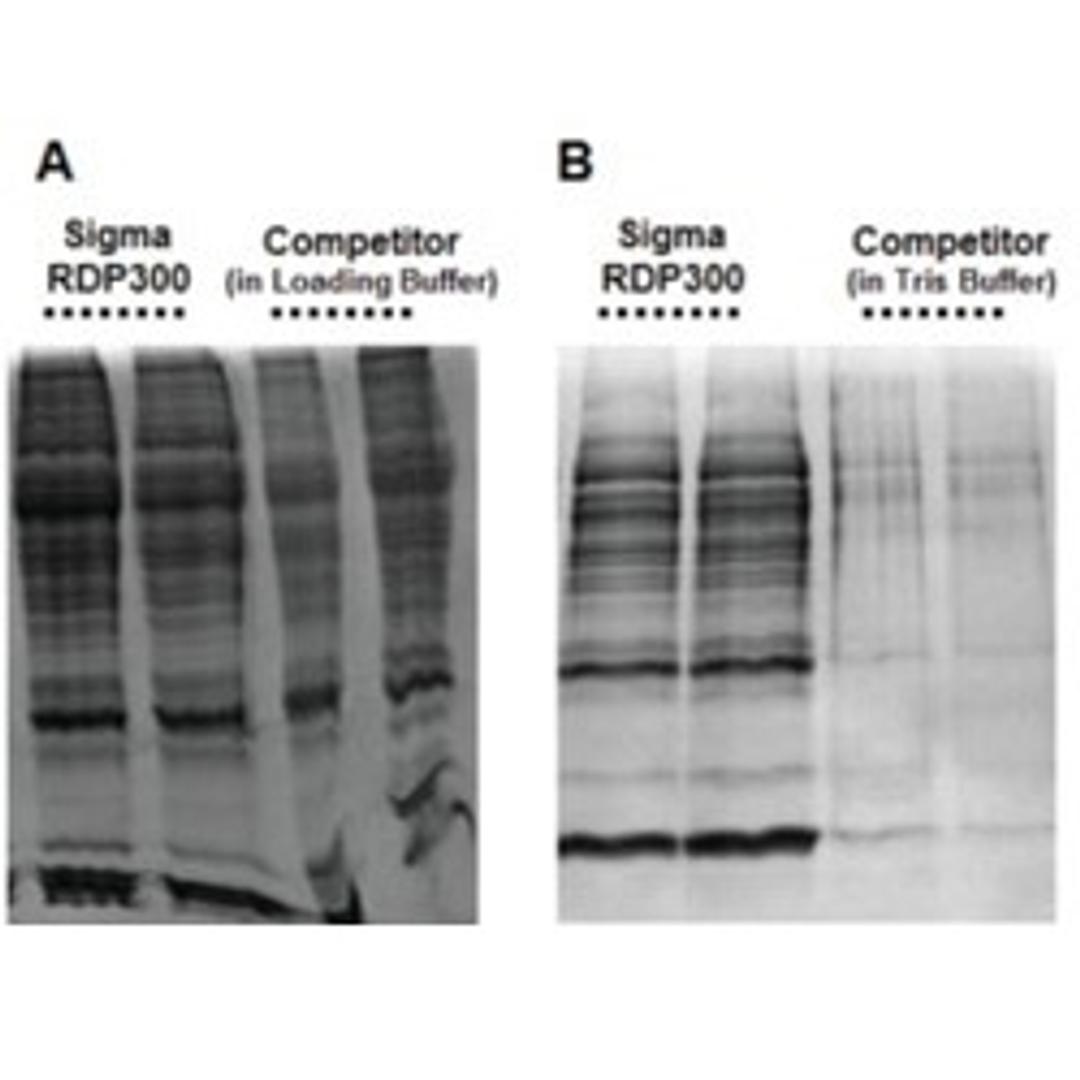 GenElute™ RNA/DNA/Protein Purification Plus Kit - Merck - Life Sciences