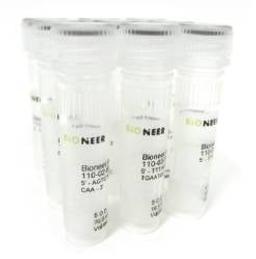 PAGE-Extendamer - Bioneer - Life Sciences