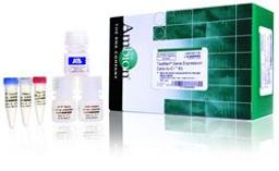 TaqMan® Gene Expression Cells-to-CT™ Kit - Thermo Fisher Scientific - Life Sciences