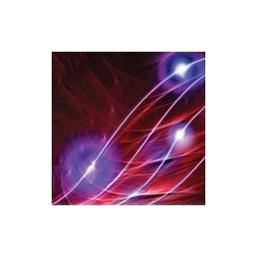 SensiFAST™ Probe Hi-ROX Kit and SYBR® Hi-ROX Kit - Bioline UK - Life Sciences