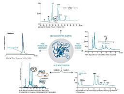 ACQUITY UPLC Glycoprotein BEH Amide Column - Waters - Separations