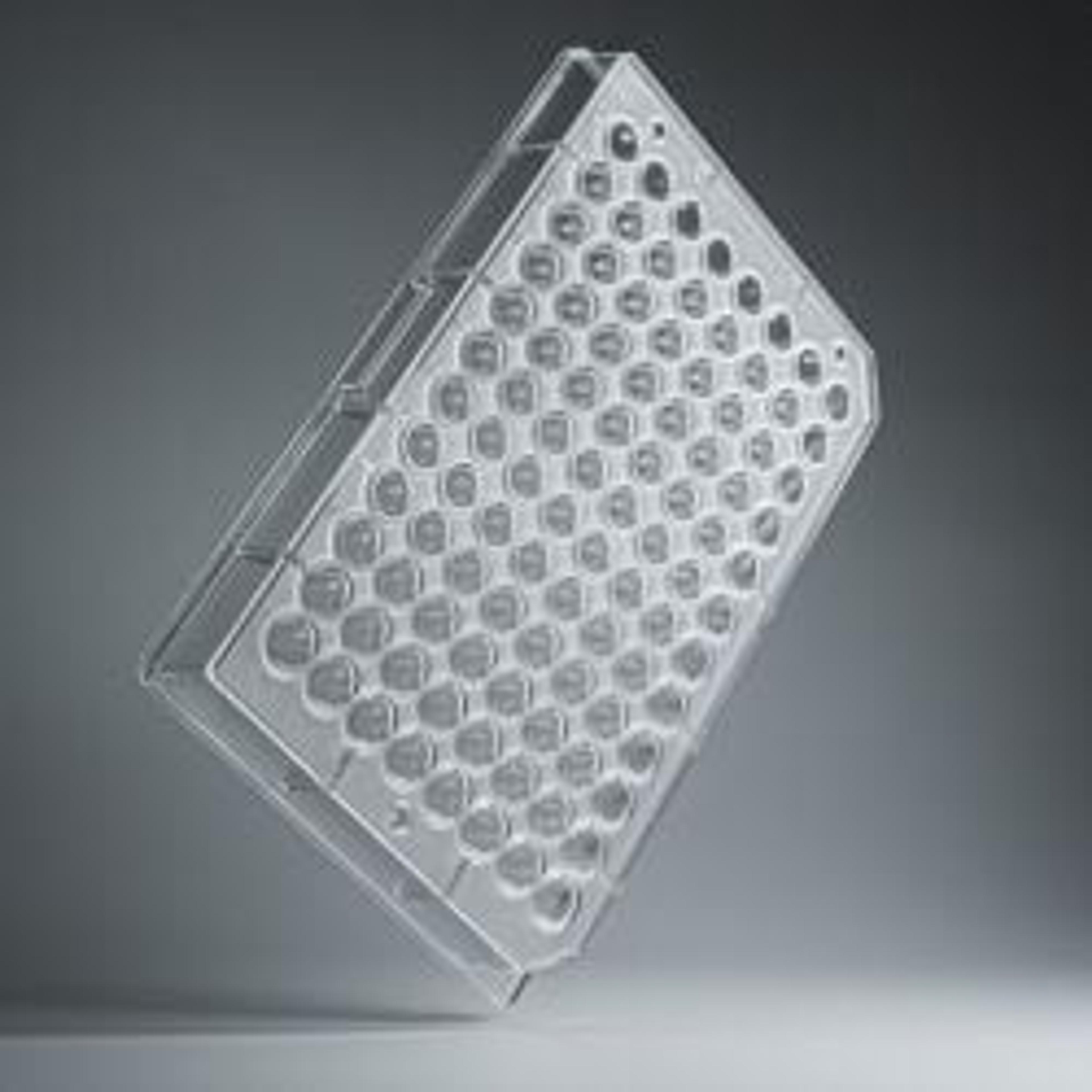 Akura™ 96 Spheroid Microplate (5/pack) - InSphero